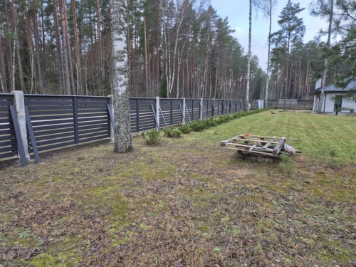 IMG-20241202-WA0003