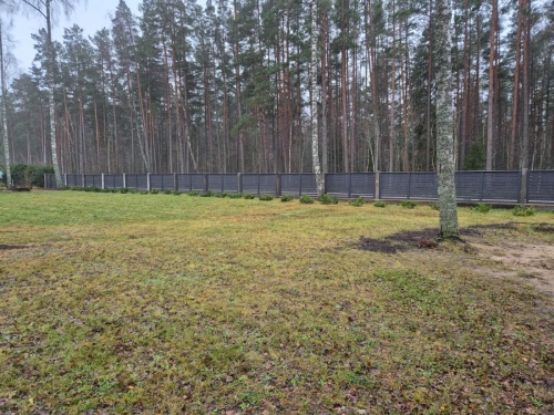 IMG-20241203-WA0003